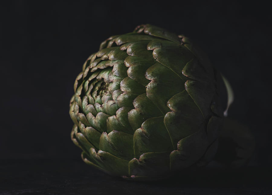 Artichoke Photograph by Holly Ross