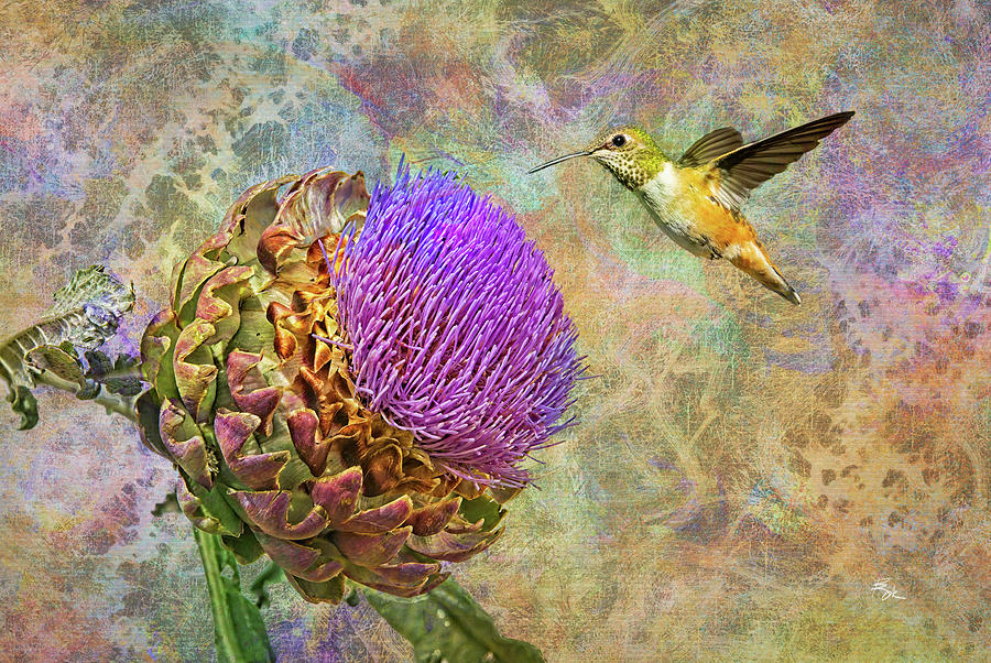 Artichoke Hummingbird of Delight Photograph by Brock Bradford - Pixels