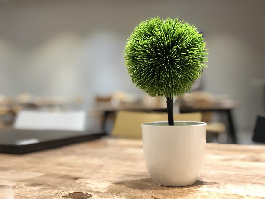 Artificial table pottery plant Photograph by Calvin Chan Wai Meng
