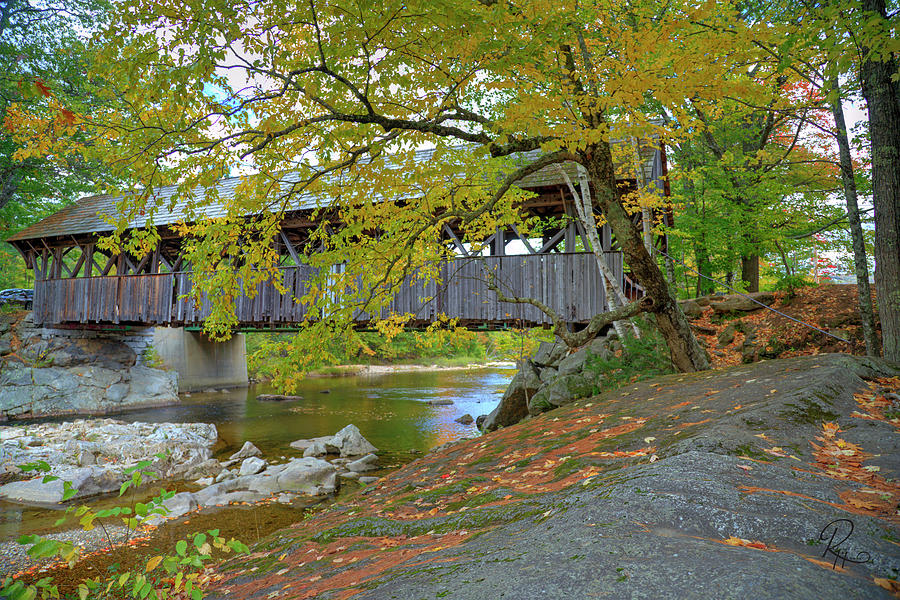 Artist Covered Bridge III Photograph by Robert Harris