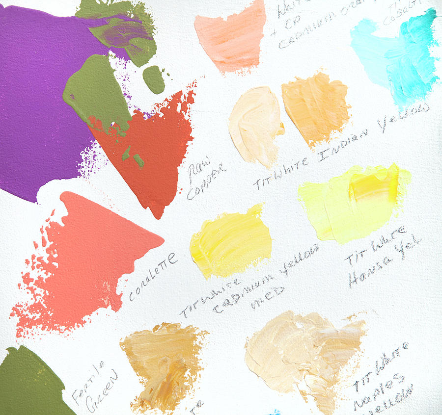Artist Paint Splotch Photograph by Theresa Tahara Artist Paint Splotch Photograph by Theresa Tahara