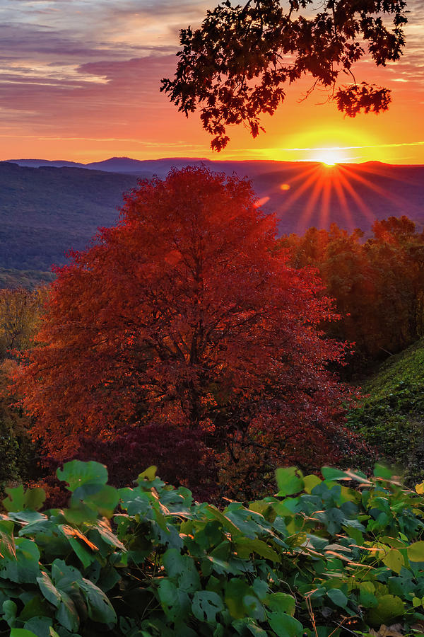 Artist Point Landscape Sunrise - Arkansas Boston Mountains Photograph by Gregory Ballos