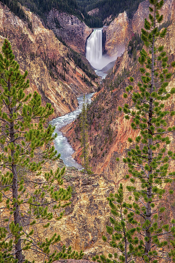 Artist Point - Yellowstone National Park #1 Photograph by Stephen Stookey