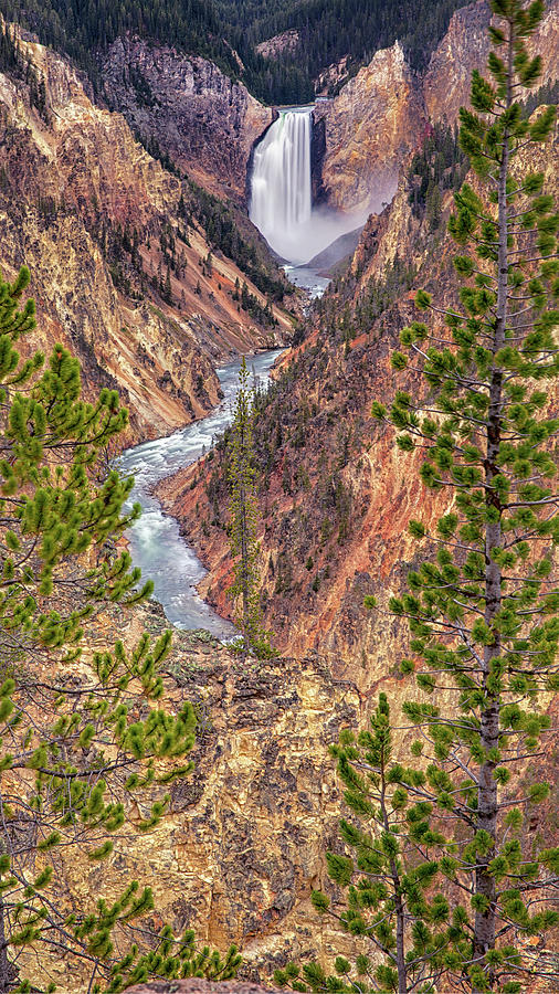 Artist Point - Yellowstone National Park #2 Photograph by Stephen Stookey