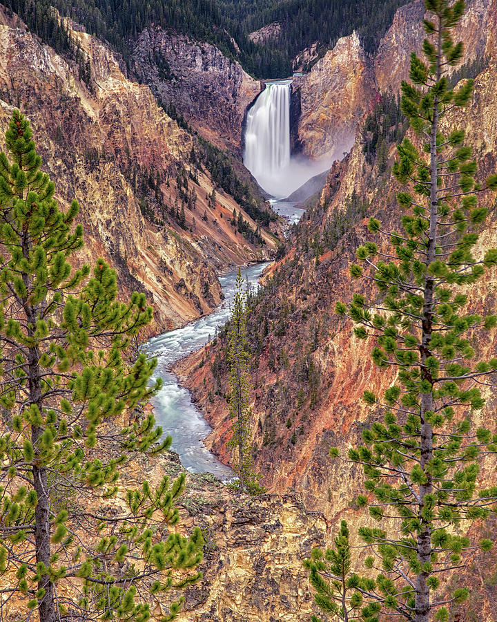 Artist Point - Yellowstone National Park #3 Photograph by Stephen Stookey