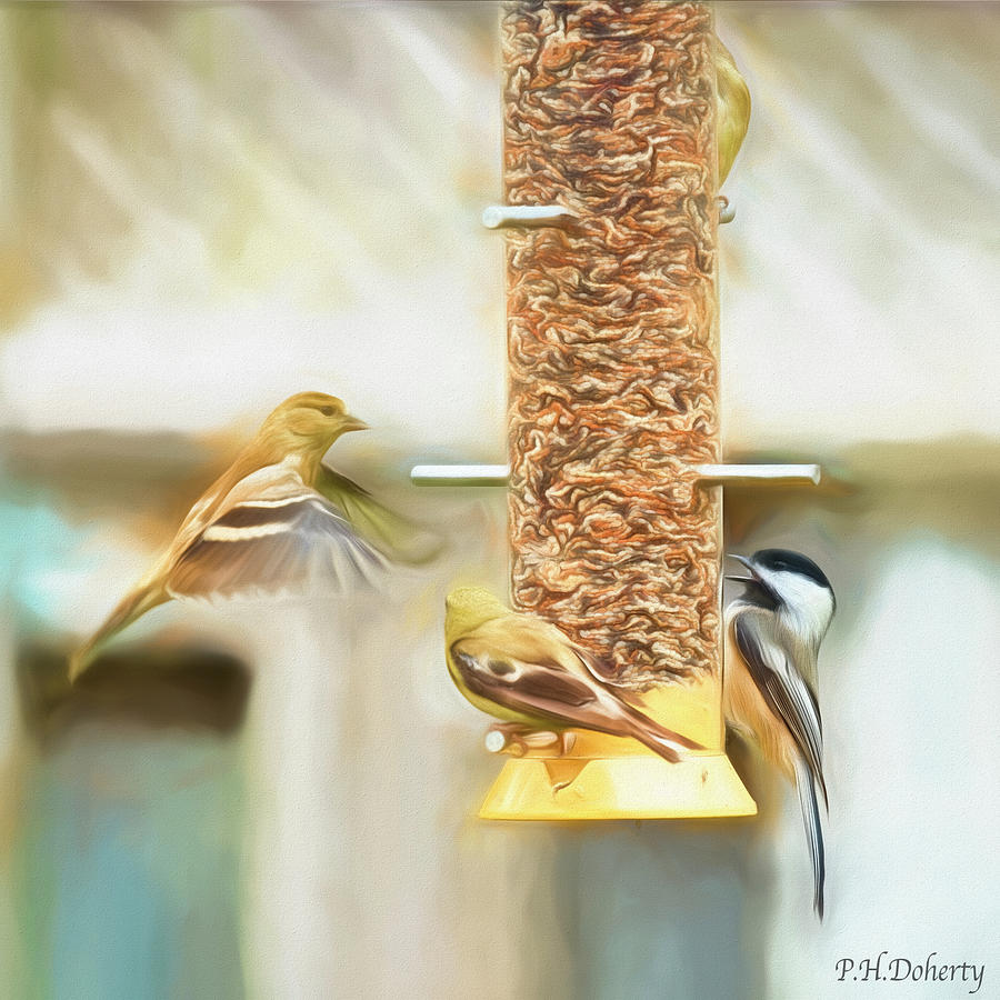 Bird Digital Art - Artistic Action At The Feeder by Phill Doherty