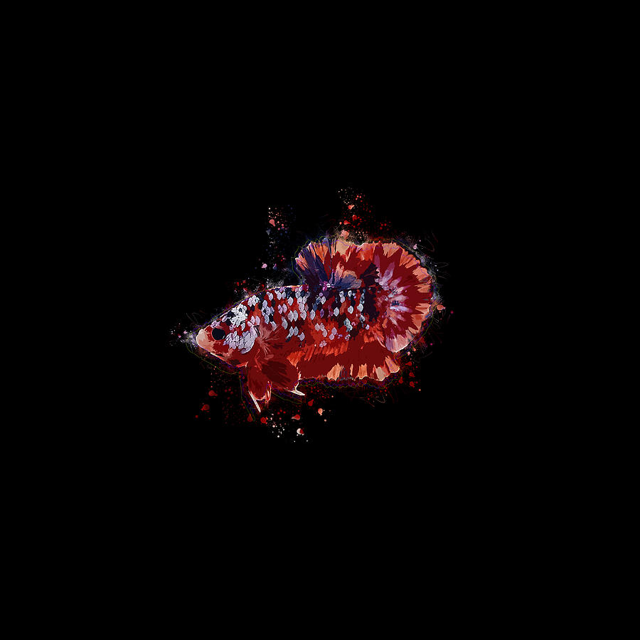 Artistic Balanced Multicolor Betta Fish Digital Art by Sambel Pedes