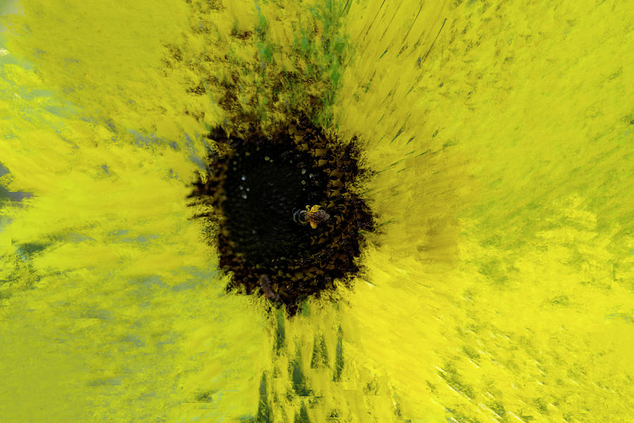 Artistic bee in middle of sunflower paintography Photograph by Dan Friend