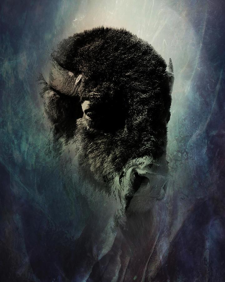 Artistic Bison Photograph by Pam Rendall