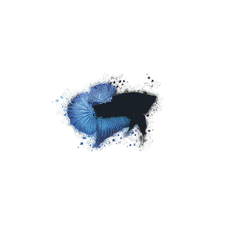 Artistic Blue Black Light Betta Fish Digital Art by Sambel Pedes