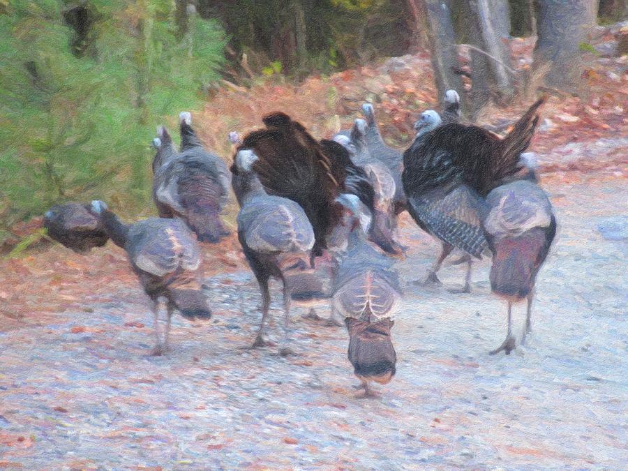 Artistic Buck Mountain Turkey Club 4 Photograph