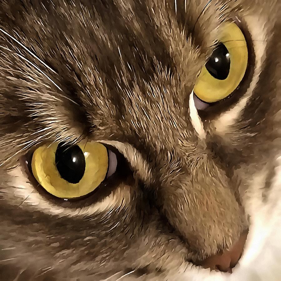 Artistic Close Up Cat Portrait Eyes and Nose Detail Painting by Taiche Acrylic Art