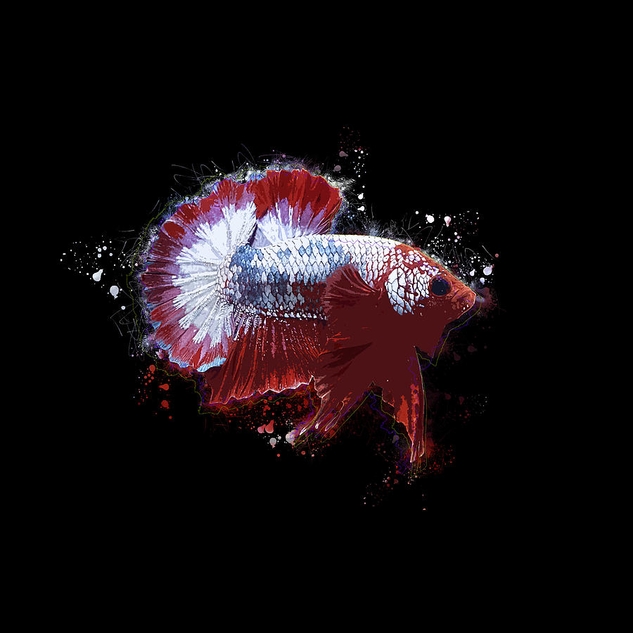 Artistic FCCP Betta Fish Digital Art by Sambel Pedes