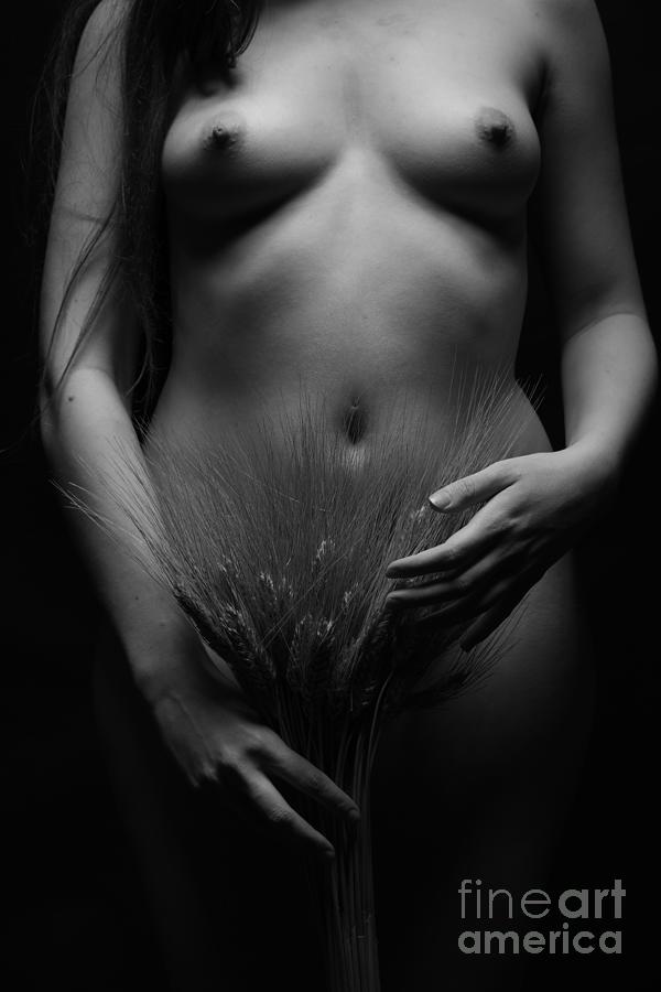 Artistic female nude photography v10 Photograph by Eran Turgeman Prints