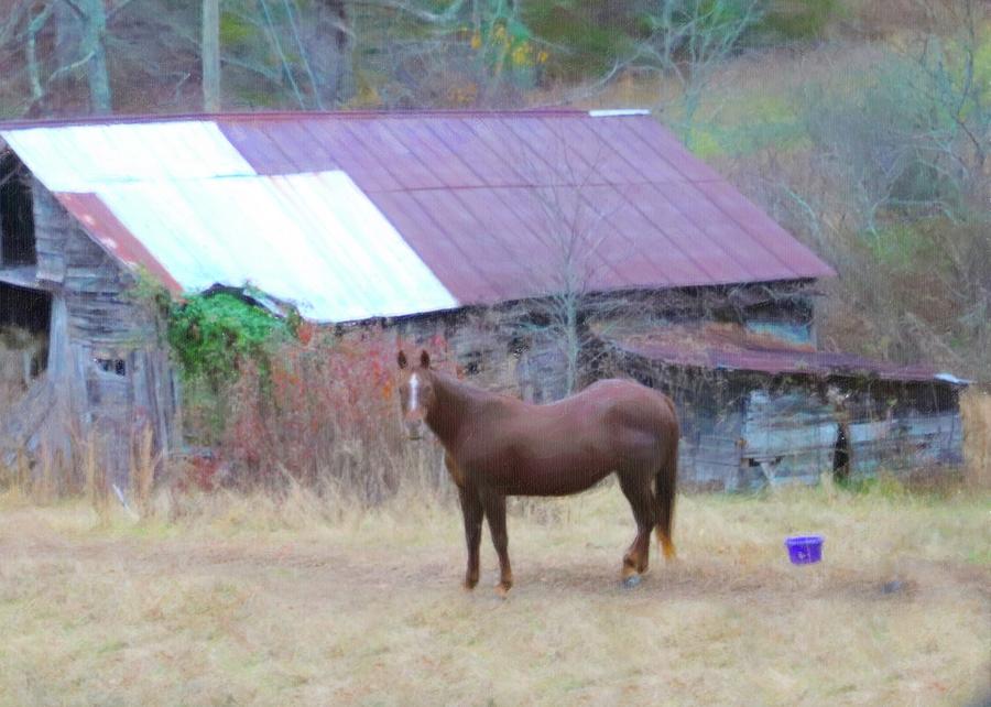 Artistic Horse And Old Barn Photograph