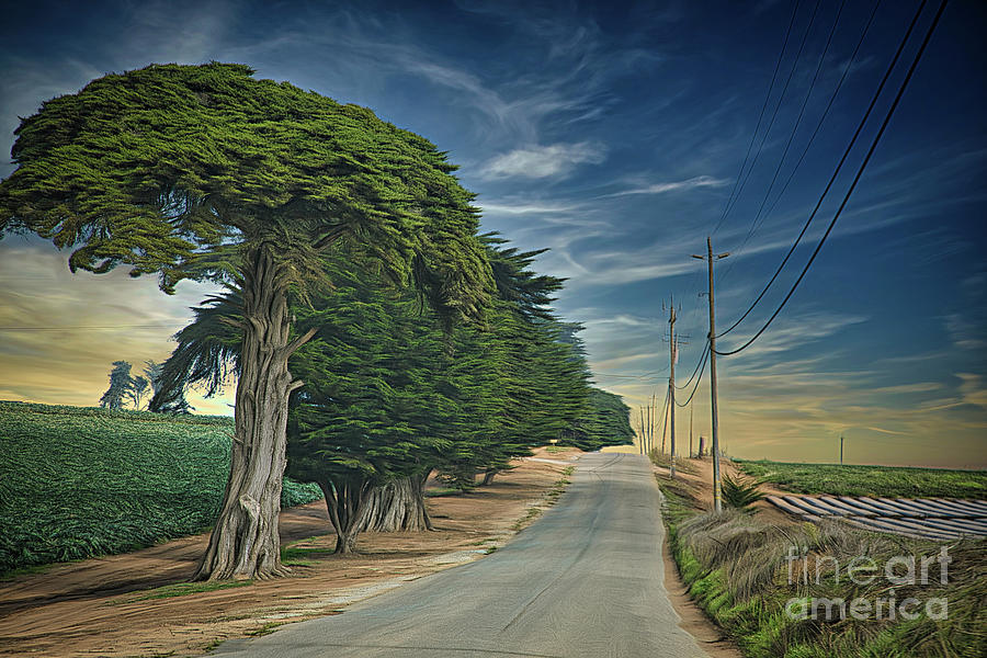 Artistic Landscape Trees Road Rural California  Photograph by Chuck Kuhn