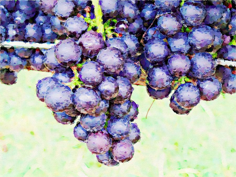 Artistic Luscious Grapes 2 Photograph
