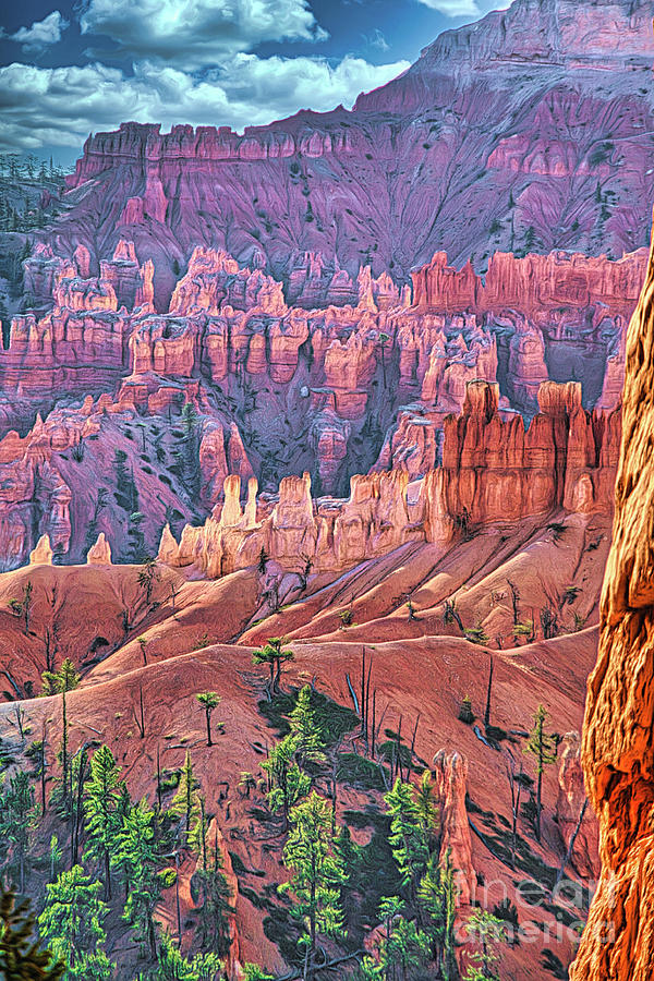 Artistic Nature Bryce Canyon Utah  Photograph by Chuck Kuhn