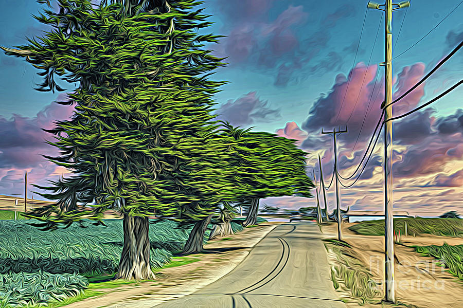 Artistic Road to Santa Cruz CA Photograph by Chuck Kuhn