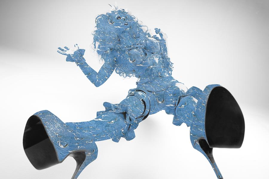Artistic Shoes Seagull Digital Art by Stephane Poirier