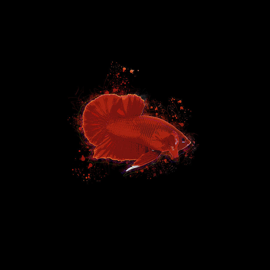Artistic Super Red Betta Fish Digital Art by Sambel Pedes