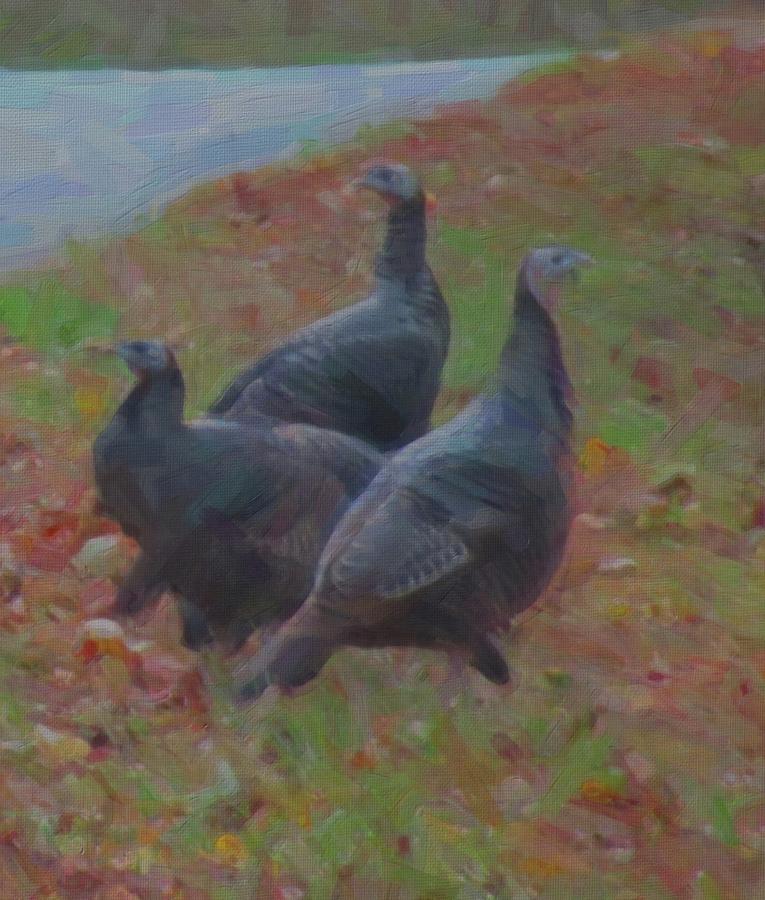 Artistic Three November Turkeys Photograph