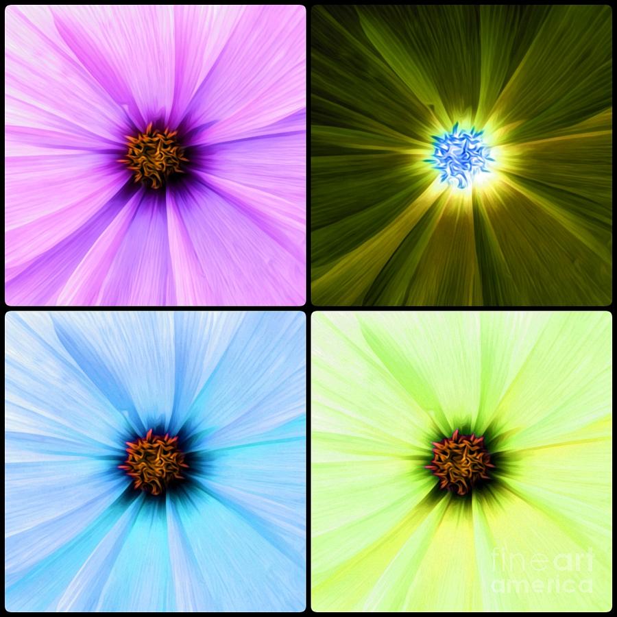 Artsy Cosmos Flower Photograph by Claudia Zahnd-Prezioso