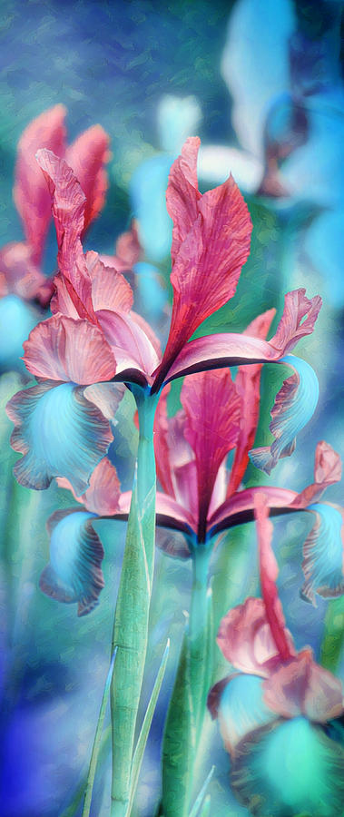 Artsy Dutch Iris Vertical Panorama Digital Art by Gaby Ethington