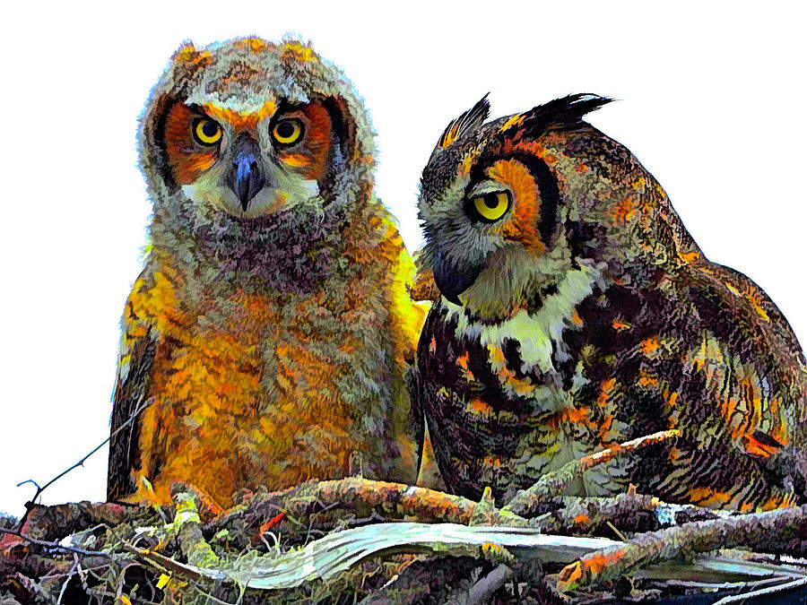 Artsy Owls Photograph by Alison Belsan Horton Artsy Owls Photograph by Alison Belsan Horton