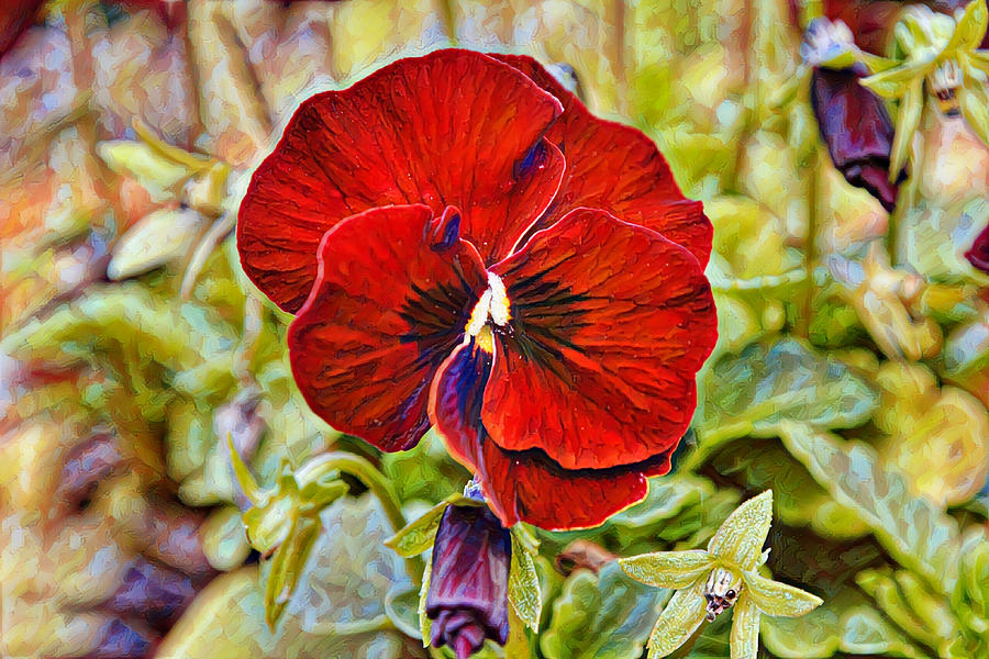 Artsy Red Pansy Flower Close Up Digital Art by Gaby Ethington