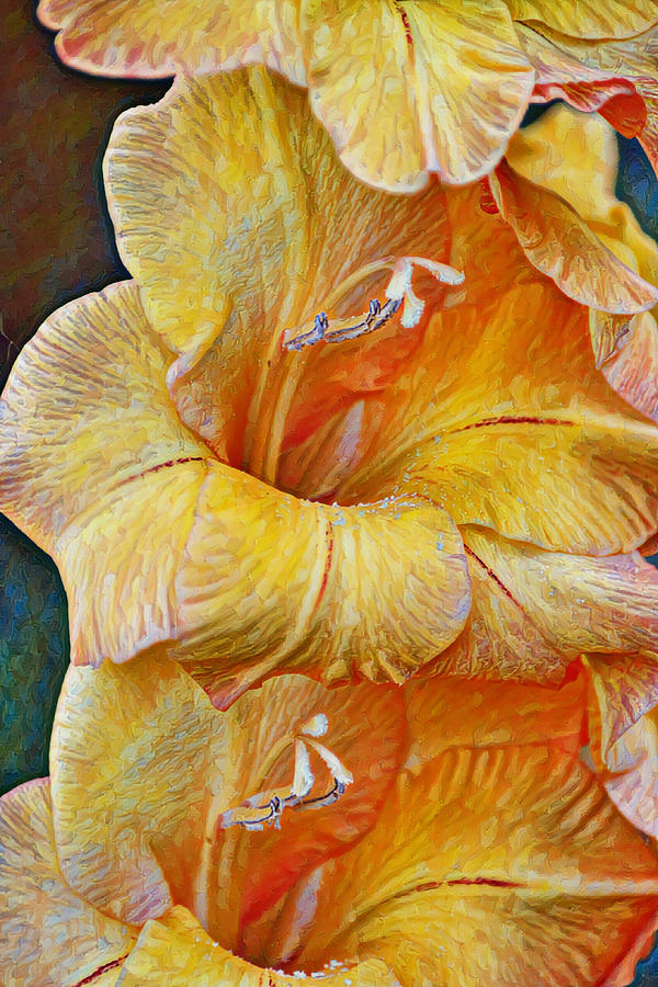 Artsy Style Gladiolus Flowers  Digital Art by Gaby Ethington