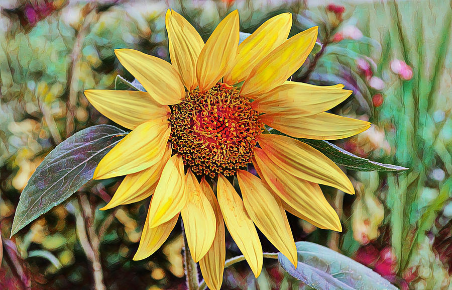 Artsy Sunflower in a Garden Digital Art by Gaby Ethington