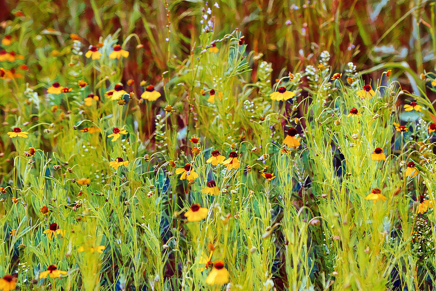 Artsy Wildflower Meadow Close Up Digital Art by Gaby Ethington