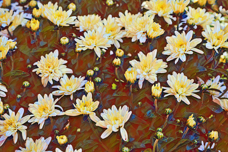 Artsy Yellow Mum Flower Garden Digital Art by Gaby Ethington