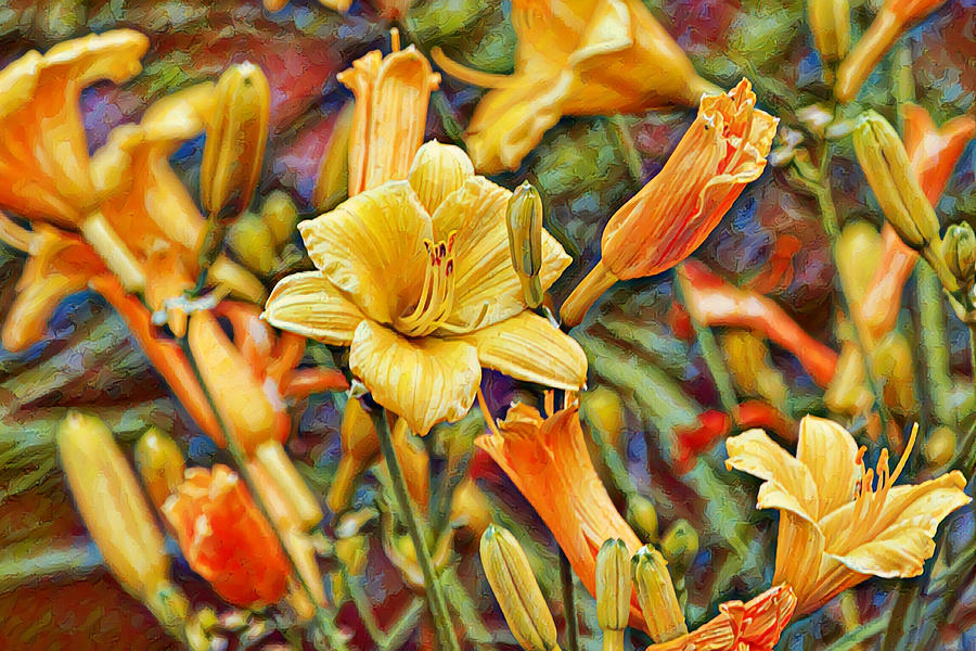 Artsy Yellow Orange Trumpet Lilies Digital Art by Gaby Ethington