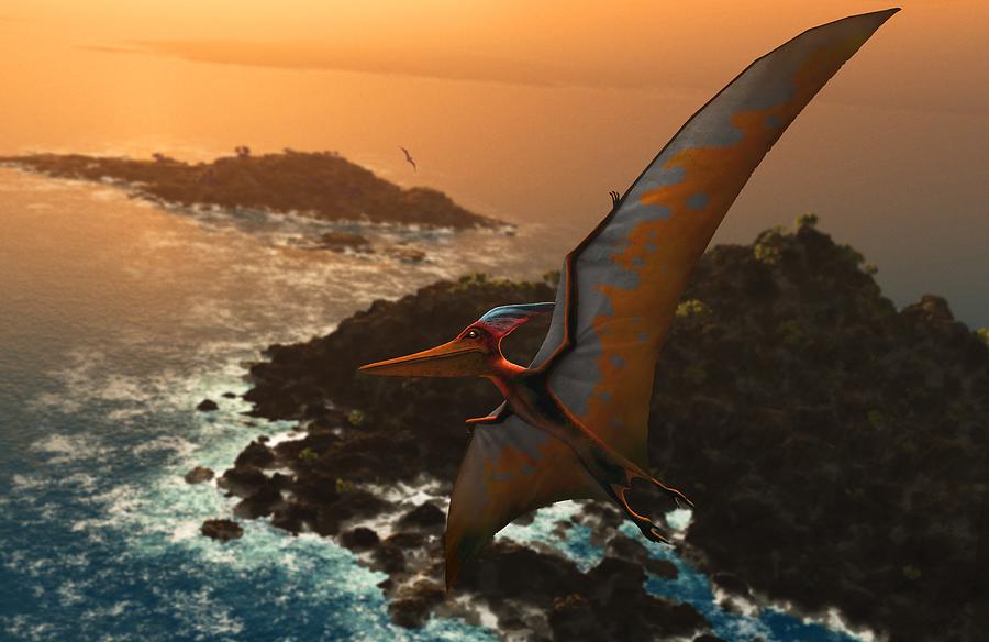 Artwork of pteranodon sternbergi Drawing by Science Photo Library - MARK GARLICK