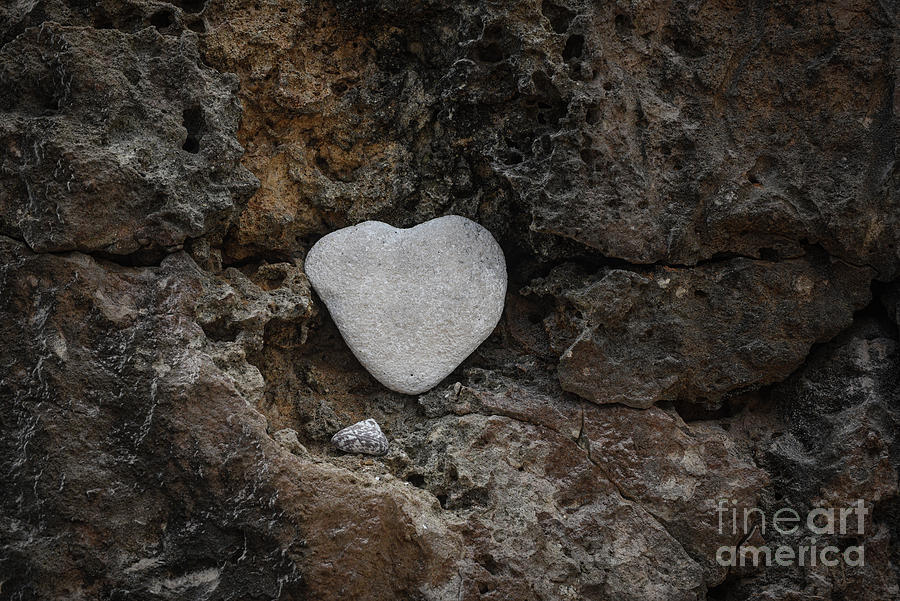Aruba-another Heart Of Stone Photograph by Judy Wolinsky