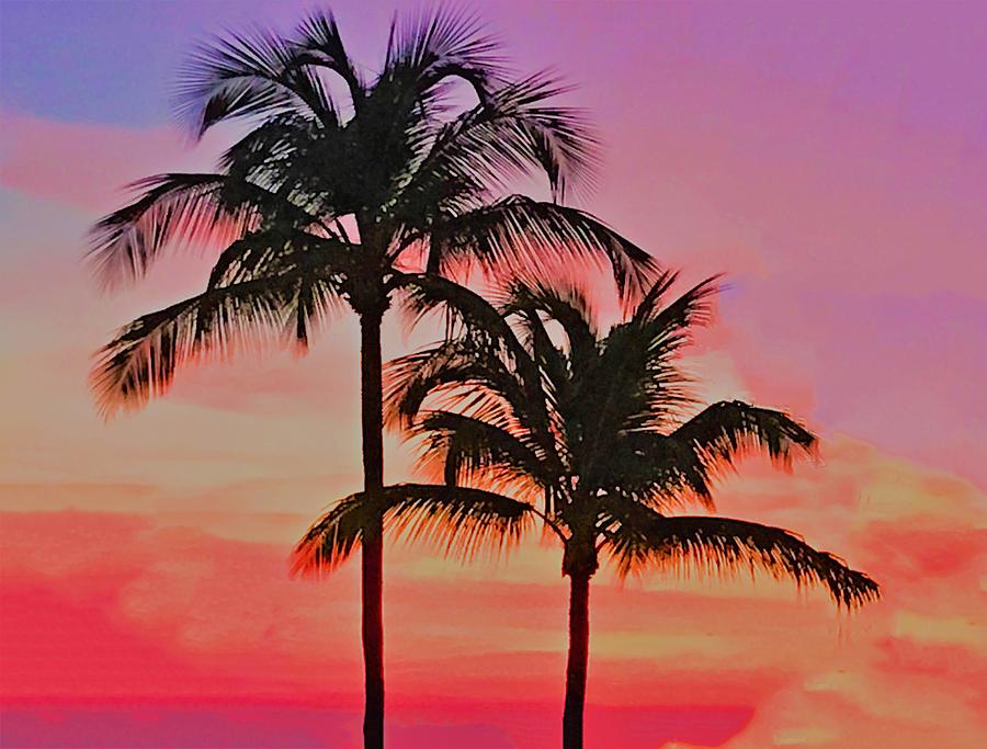 Landscape Photograph - Aruba Palms by Renee DeFilippis