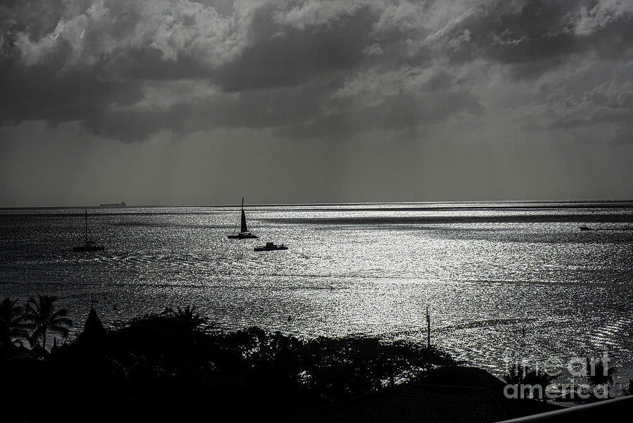 Aruba-sailing In Aruba Bw Photograph by Judy Wolinsky