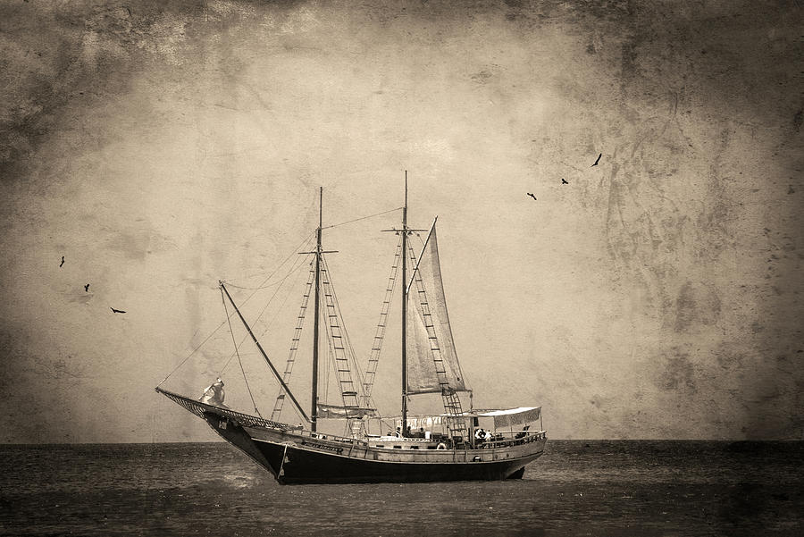 Aruba-Vintage Jolly Roger Photograph by Judy Wolinsky