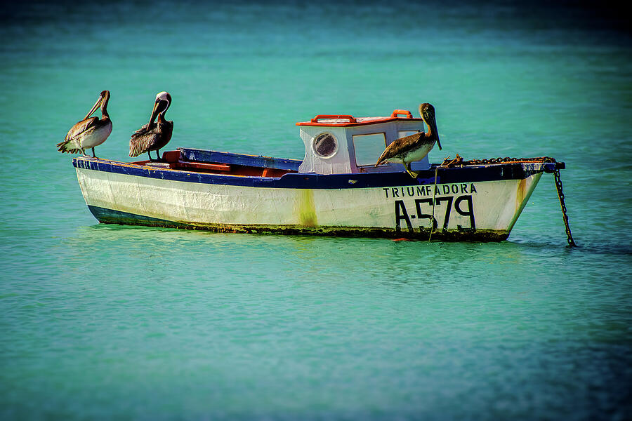 Pelican Photograph - Aruba weathered boat by Galen Mills