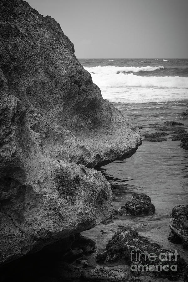 Aruba-what Do You See Bw Photograph by Judy Wolinsky