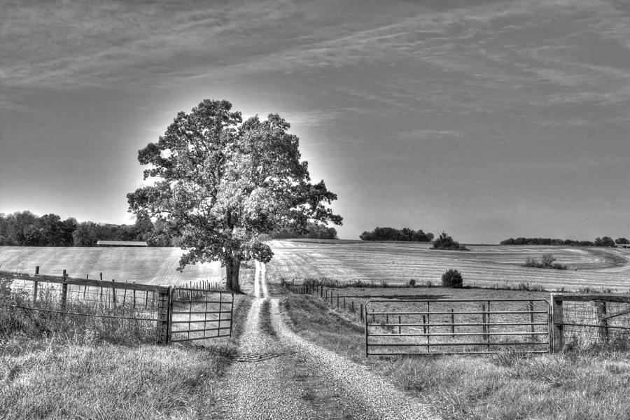 Arvin Landscape, Black and White Photograph by Angela Comperry