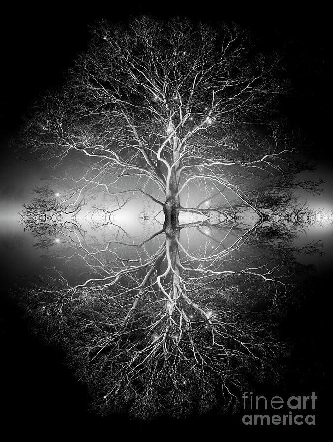 As Above So Below Monochrome Photograph by Tim Gainey