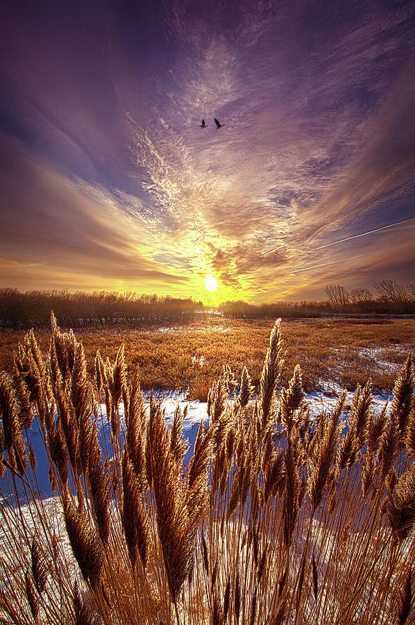 As Long as We are Together Photograph by Phil Koch