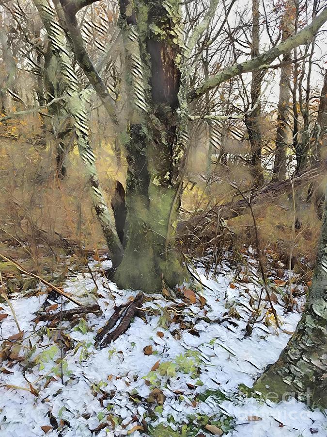 As The Earth Embraces Winter Digital Art by Rachel Hannah