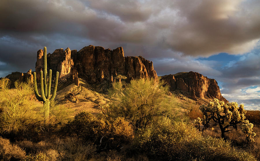 As The Golden Hour Arrives In The Sonoran Photograph by Saija Lehtonen