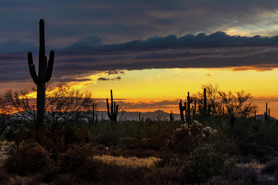 As The Sun Sets In The Desert  Photograph by Saija Lehtonen