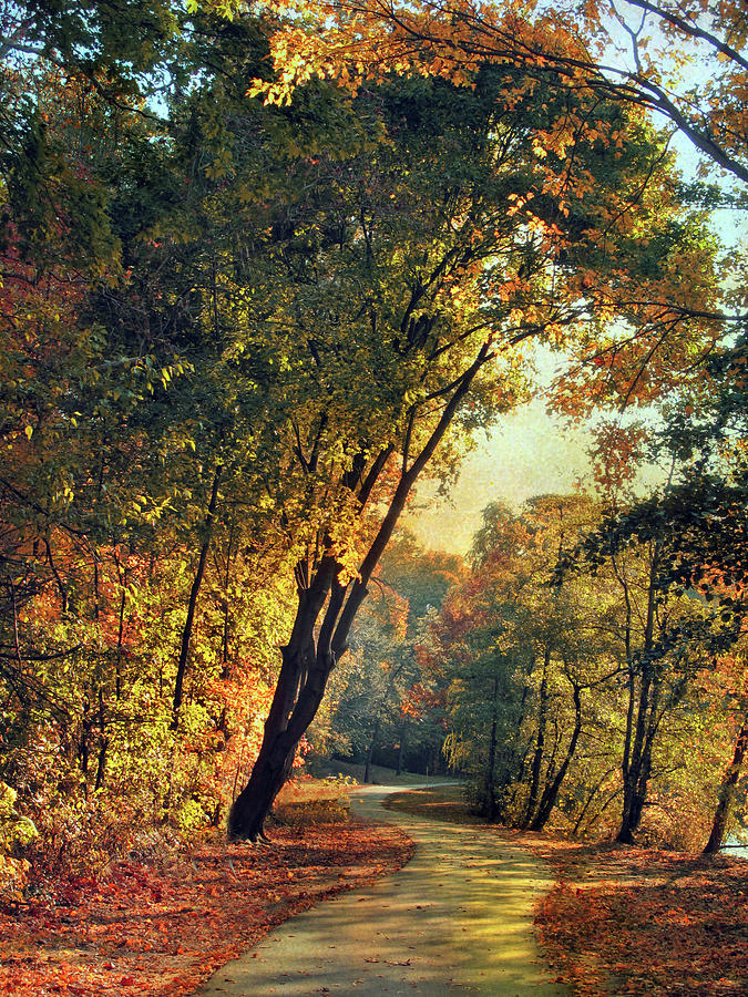 The Winding Path Through Autumn Photograph by Jessica Jenney The Winding Path Through Autumn Photograph by Jessica Jenney
