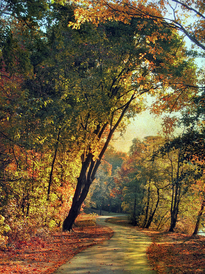 The Winding Path Through Autumn Photograph by Jessica Jenney